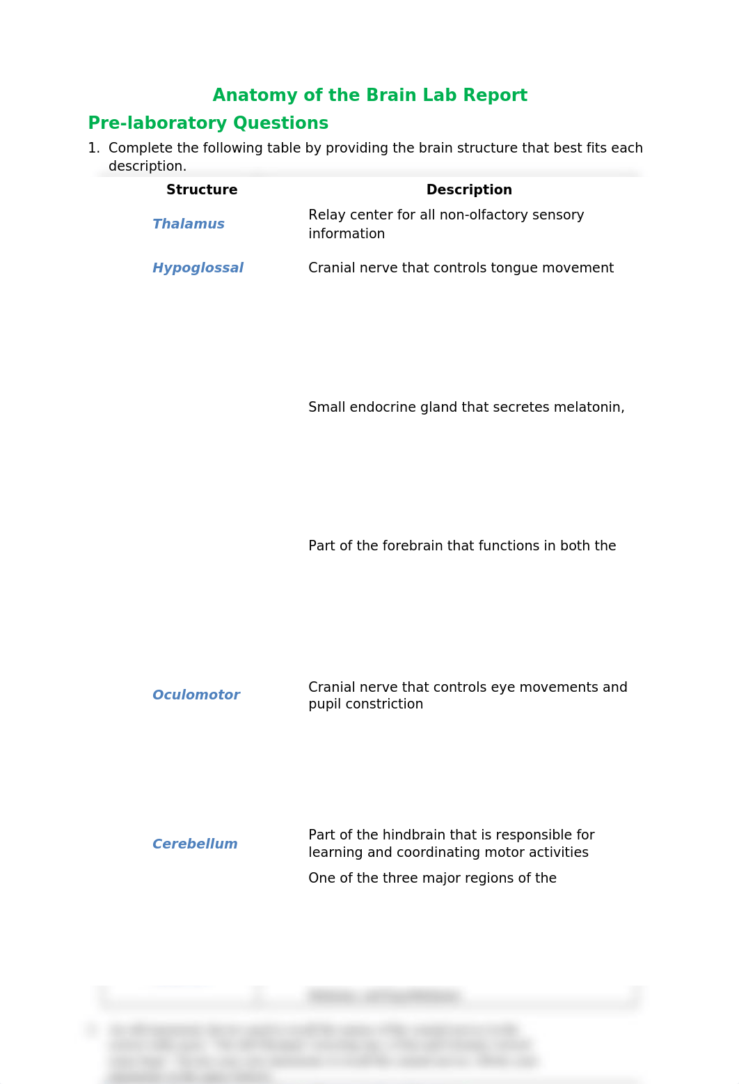 Anatomy of the Brain Lab Report - Toleman.docx_dr6p94znd01_page1