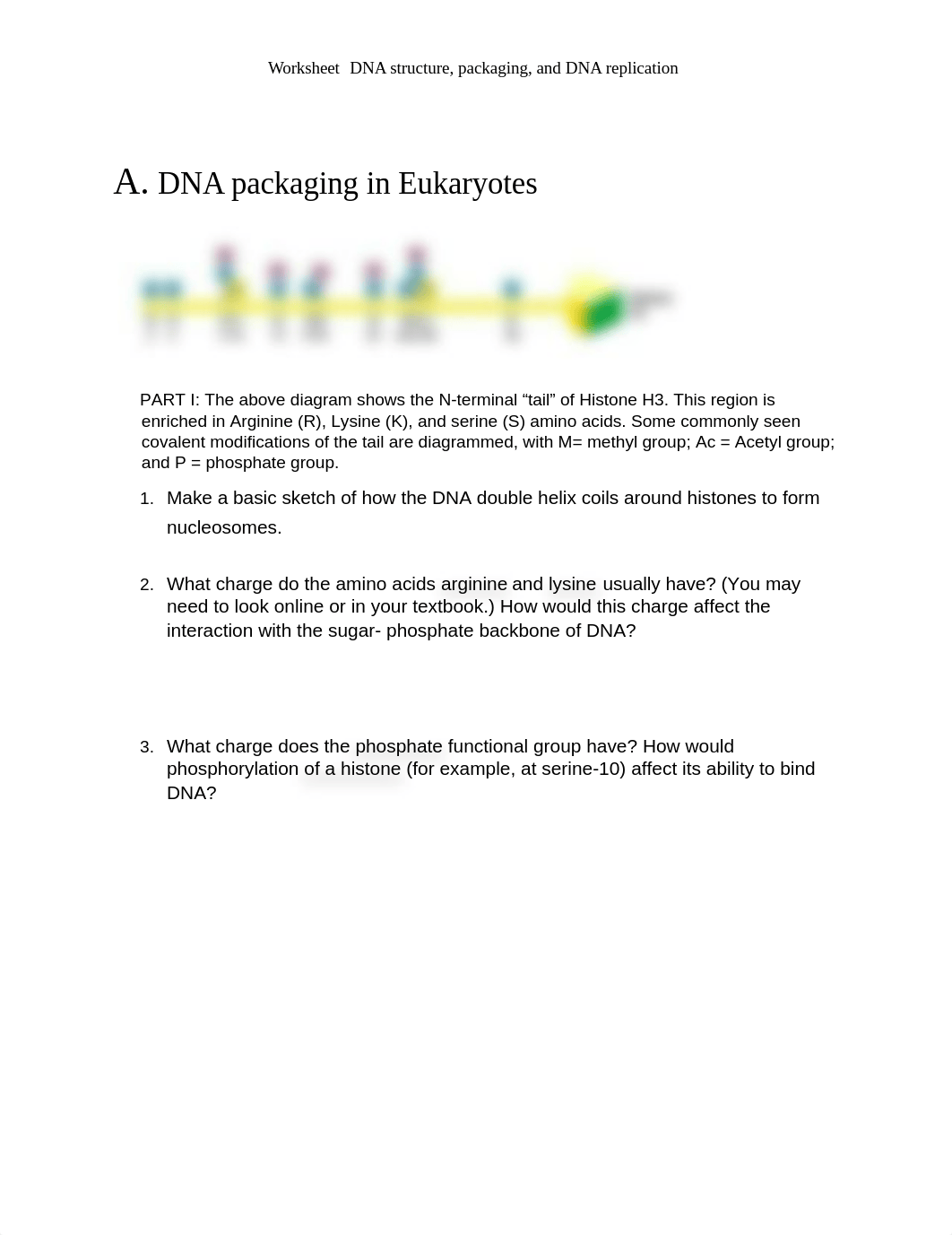 Nucleic acids worksheet_May 4.docx_dr6tedsv3m1_page2