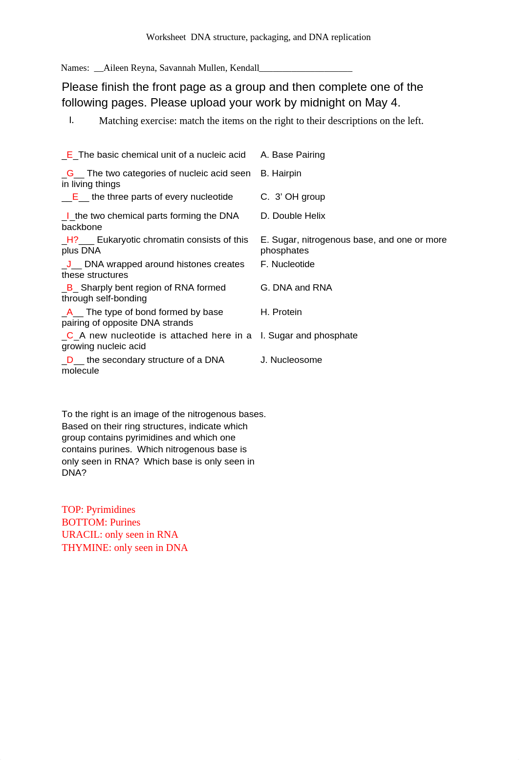 Nucleic acids worksheet_May 4.docx_dr6tedsv3m1_page1