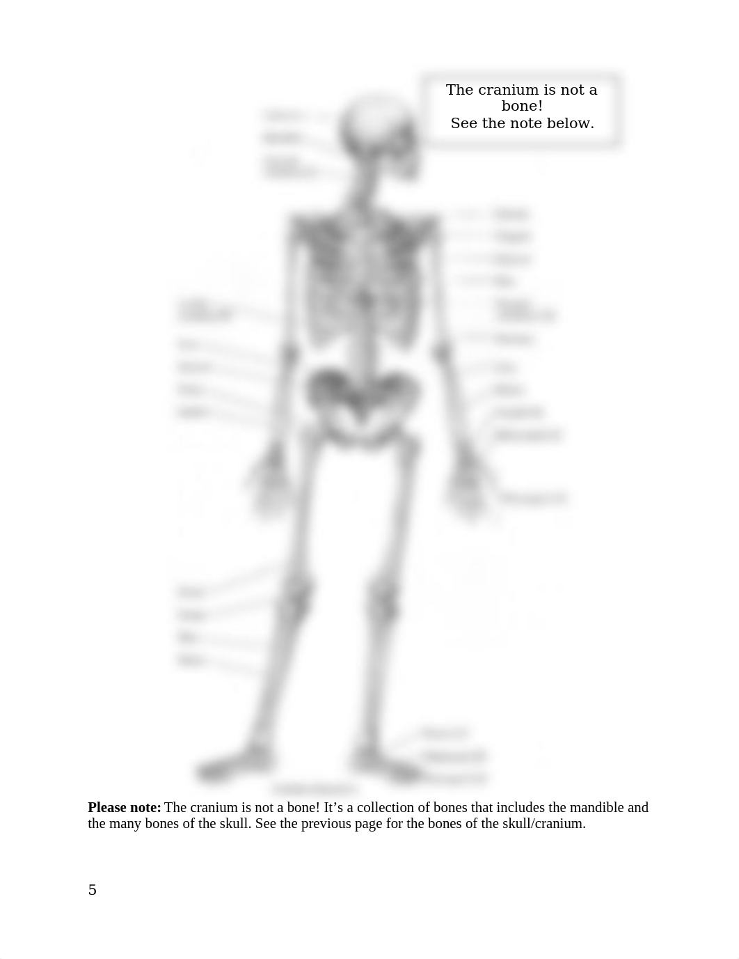 Xi Lin Lab 5.docx_dr6uc33kqqq_page5