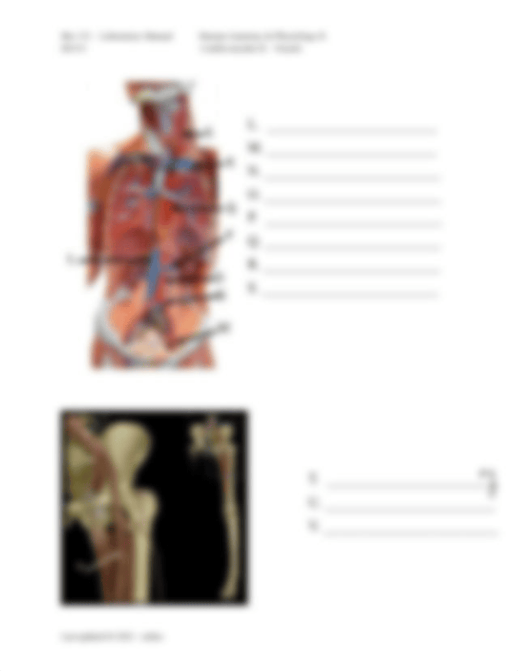 Lab5-Bio151-CardioII-REPORT-online-S2021.docx_dr7c6kwlxvx_page2