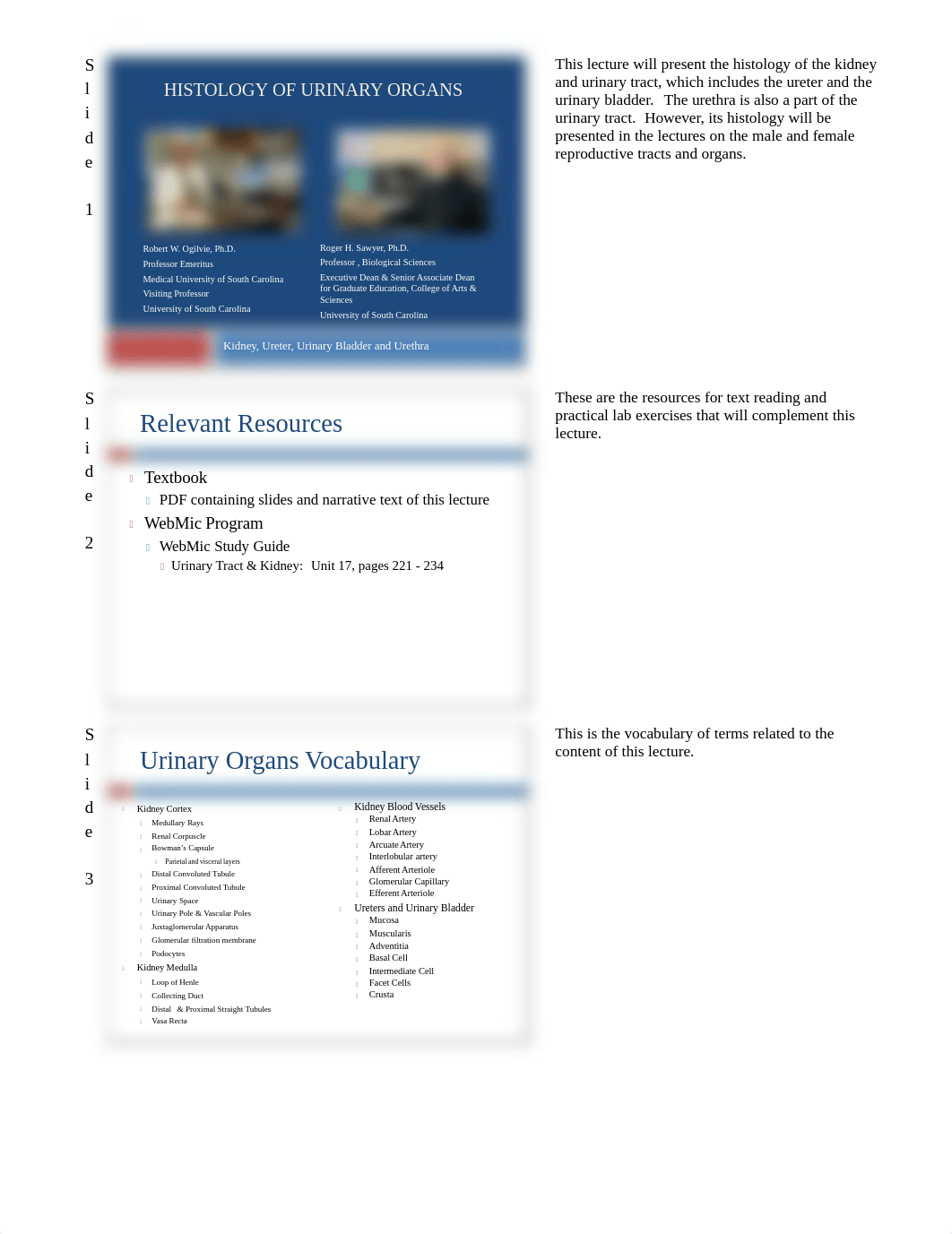 21-Urinary Tract & Kidney Slides and Text_dr7gbiyoidh_page1