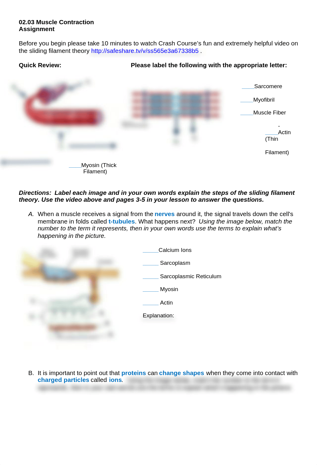 03MuscleContraction_dr7nzb4sf2o_page1