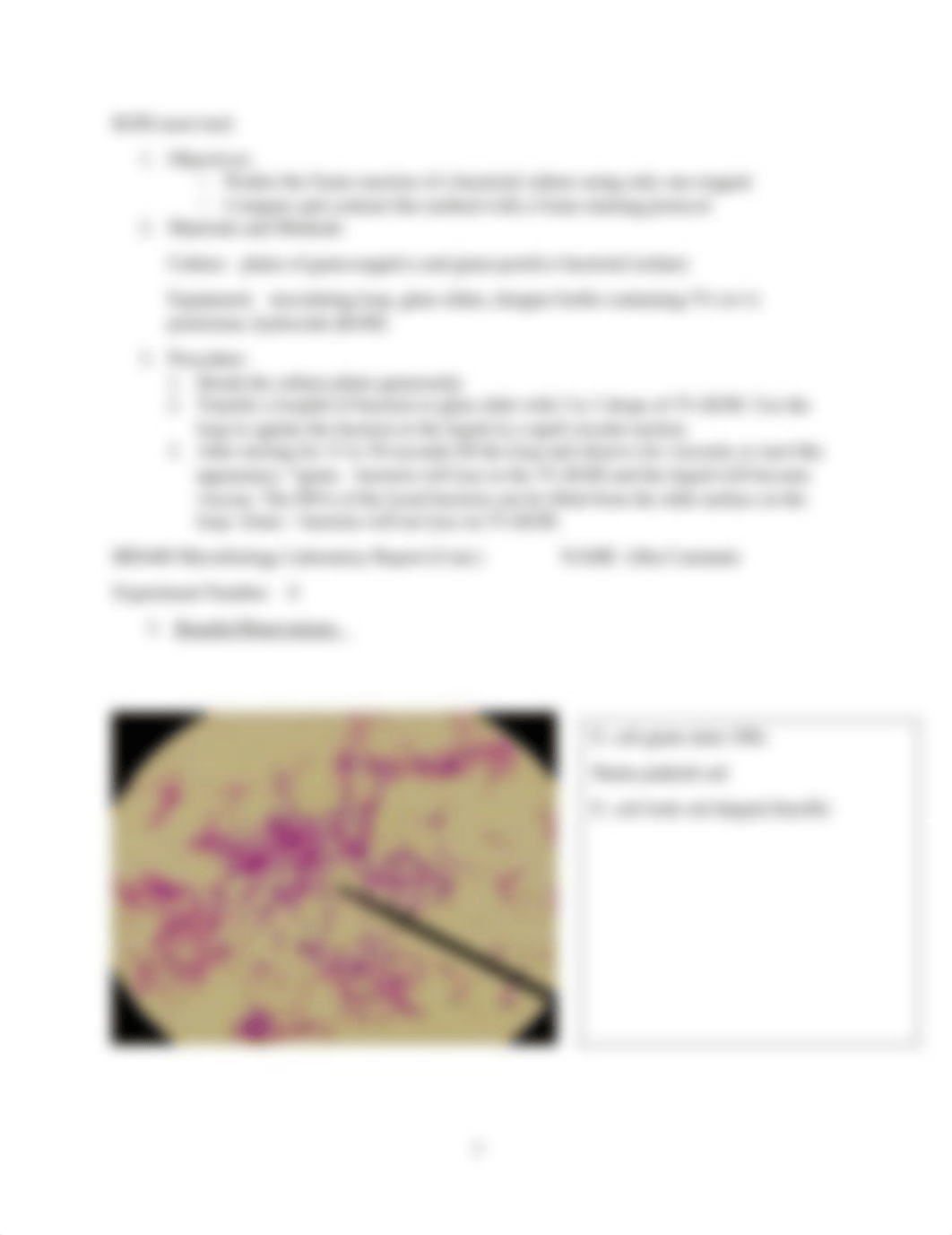 BIO440 Microbiology Laboratory Report (Gram Stains).docx_dr7whf2munr_page2