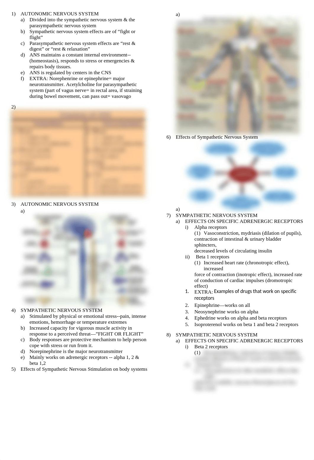 Autonomic Nervous System Drugs_dr7xeniuqkn_page1