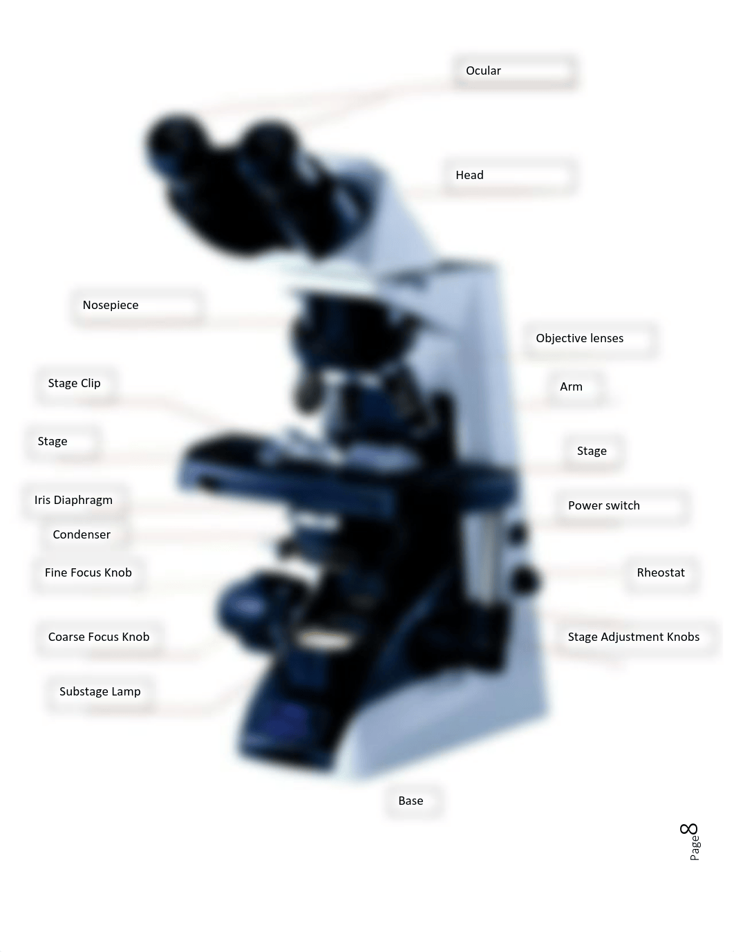 Lab pages.pdf_dr84m0679fg_page1