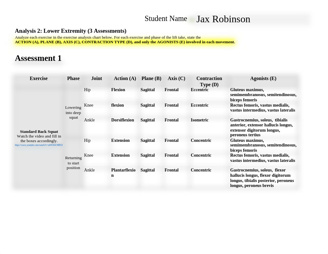 Analysis 2_Lower Ext.docx_dr8abnt030o_page1