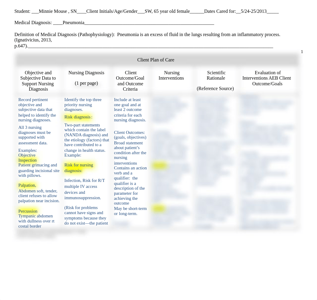 Client Plan of Care with Instructions Rev 7.2013.docx_dr8pcuad3ne_page1