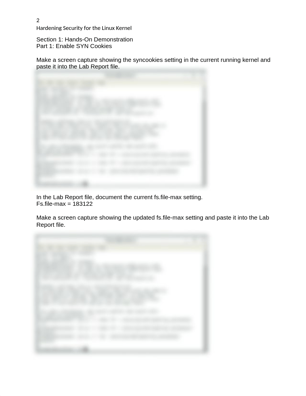 Don Pellerin - Hardening Security for the Linux Kernel.docx_dr926jy9fjs_page2