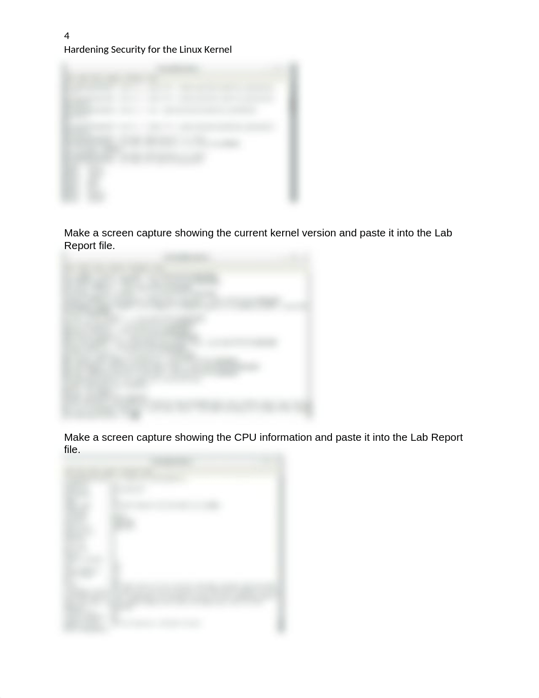 Don Pellerin - Hardening Security for the Linux Kernel.docx_dr926jy9fjs_page4