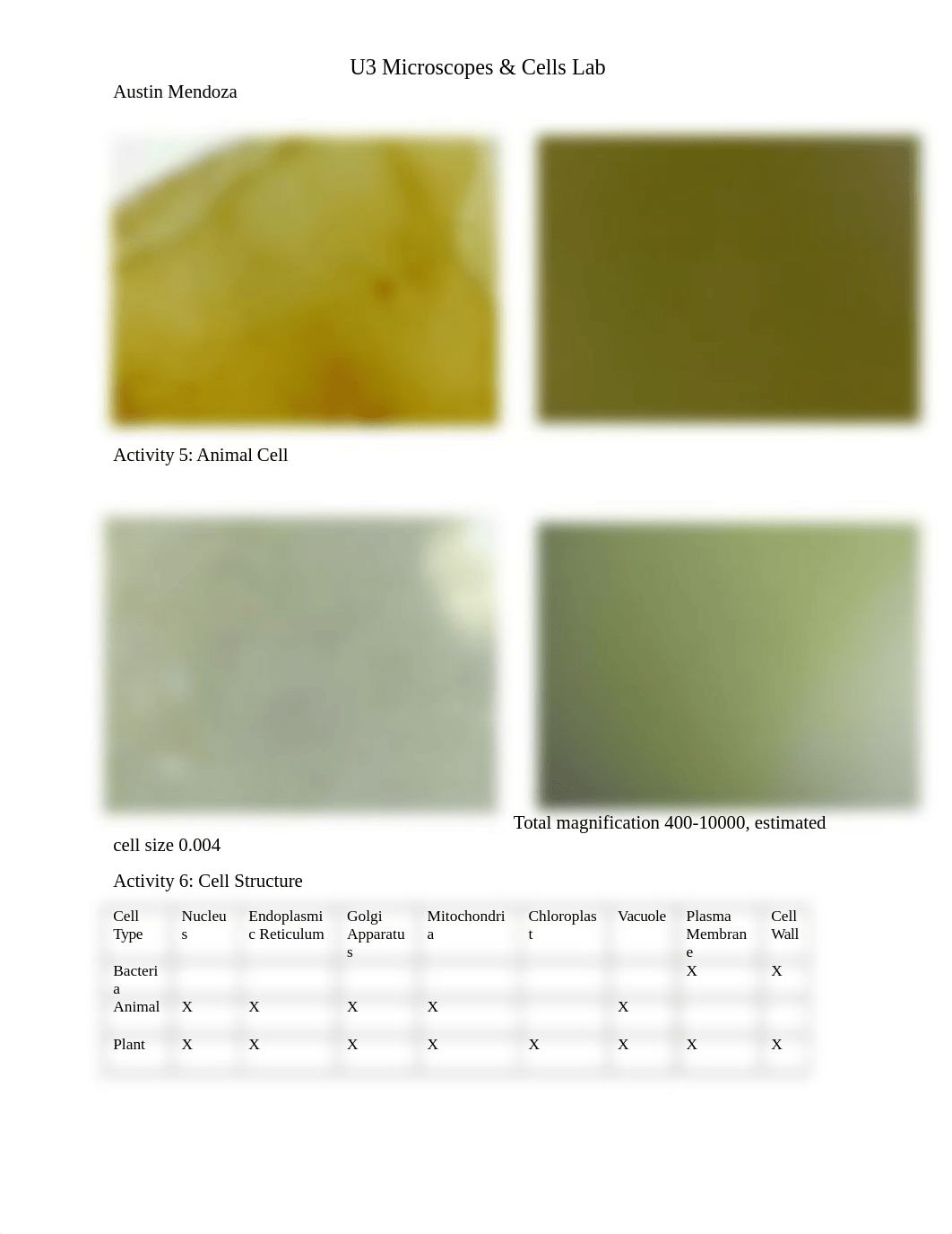 U3 Microscopes & Cells Lab - Austin Mendoza.docx_dr9qmcro23g_page2