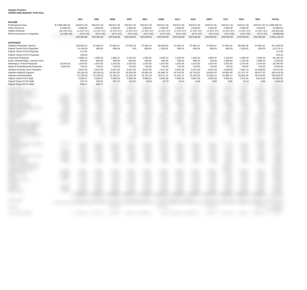 Sample-Medical-Practice-Budget_dr9qyszjrzk_page1