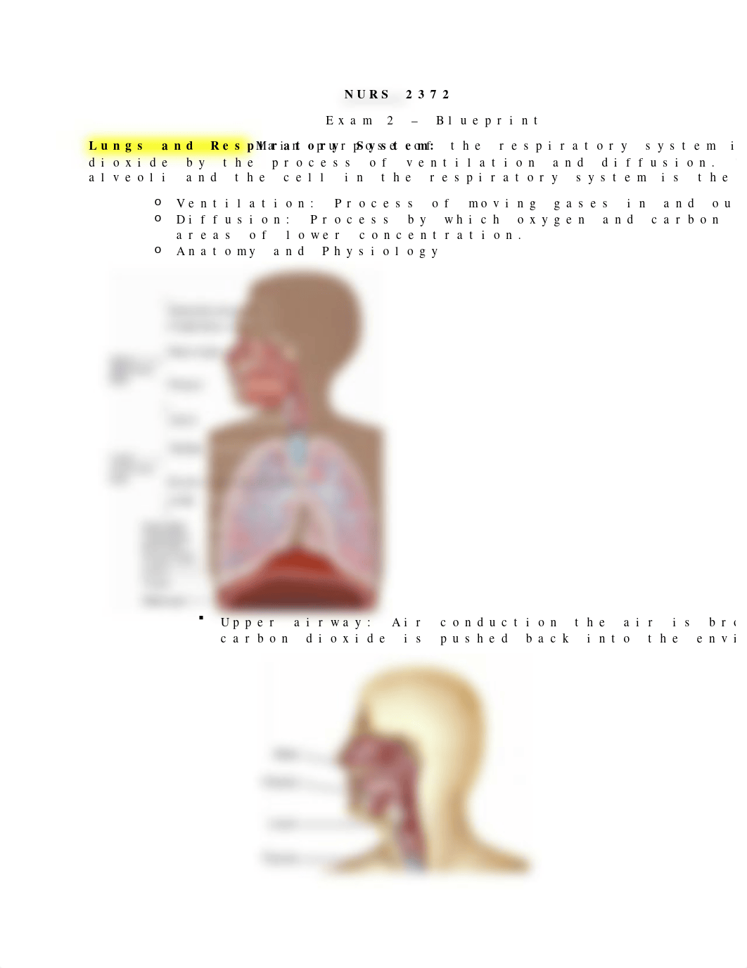 Exam 2 Blueprint and Study Guide.docx_dra27l22w6n_page1