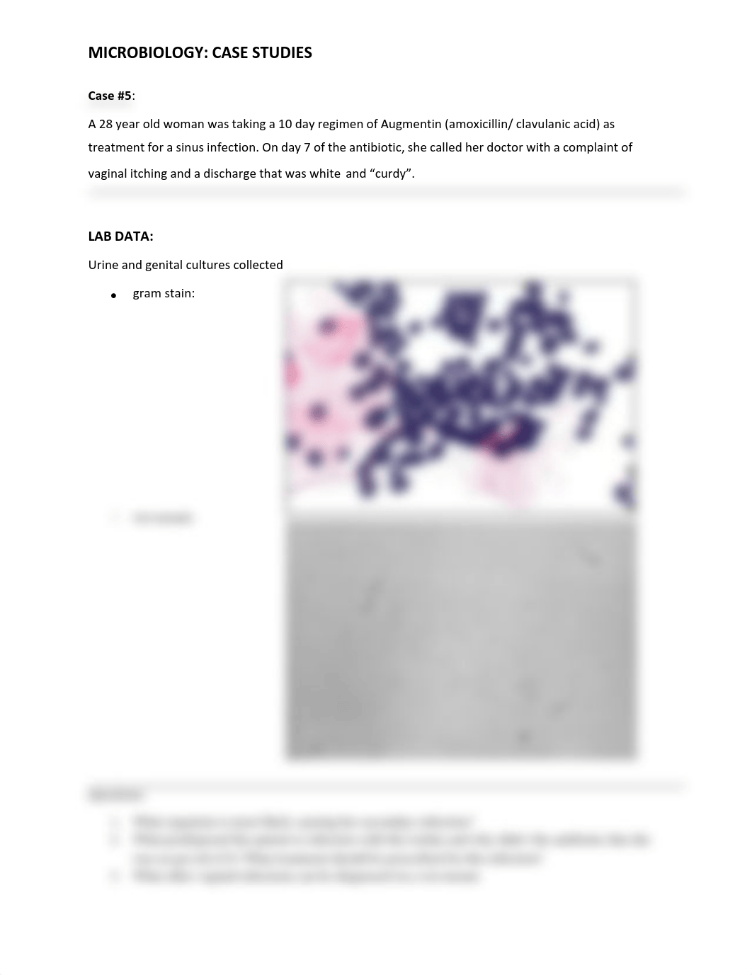 Case #5.pdf_draaa4zunk8_page1