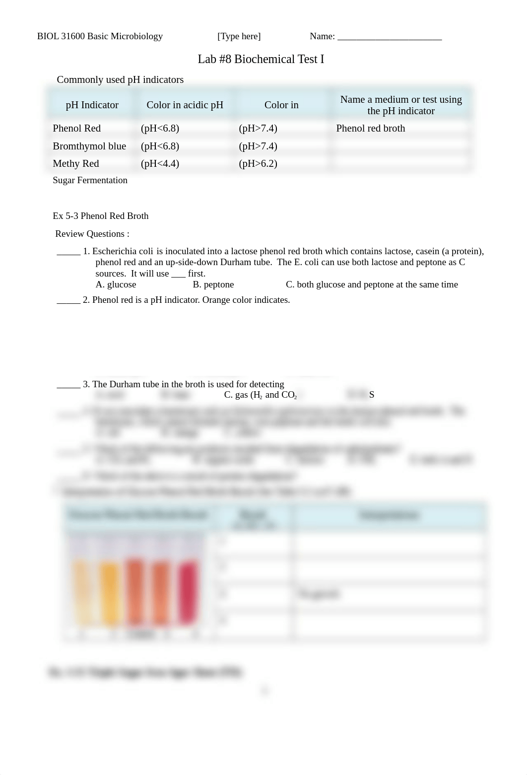 Lab #8 Biochemical Tests I.docx_drabdcch6gl_page1