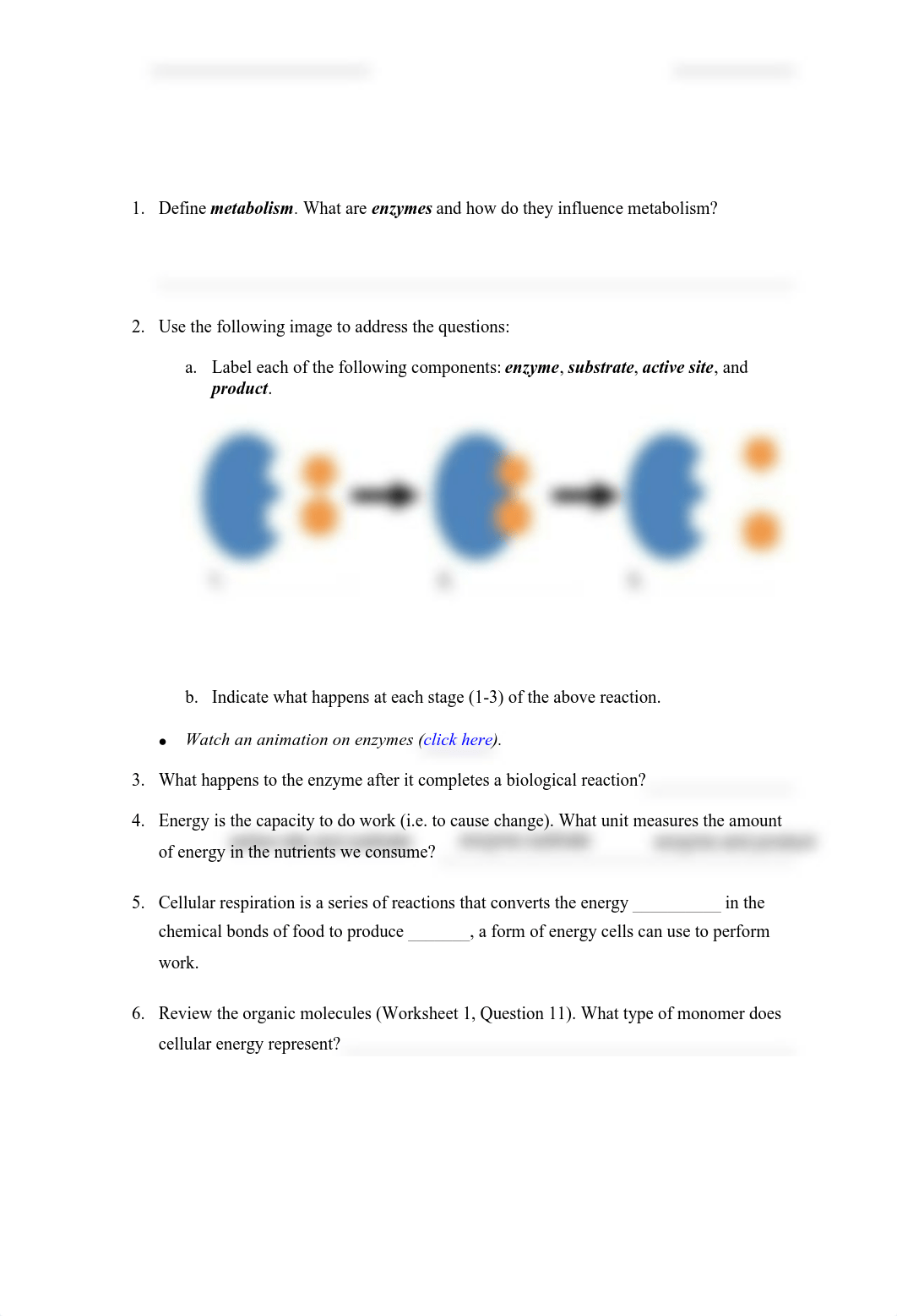 _WS3-EnzymesRespiration-fillable (1).pdf_drabs3jqo3d_page1