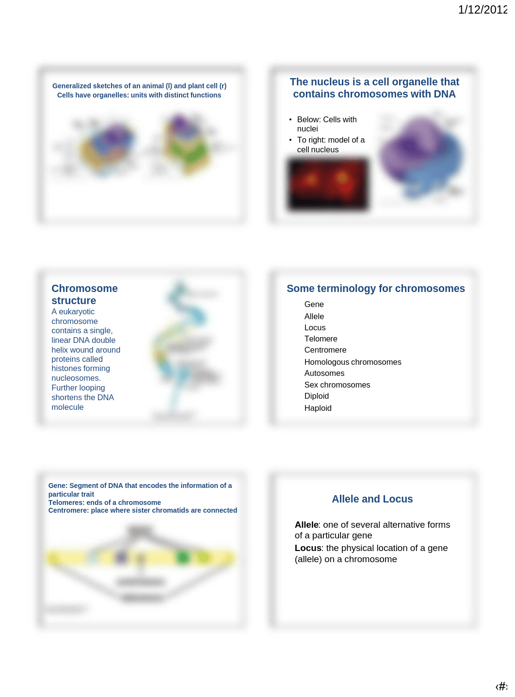 Chapter9_Cellular Reproduction.pdf_draftgf16fw_page2