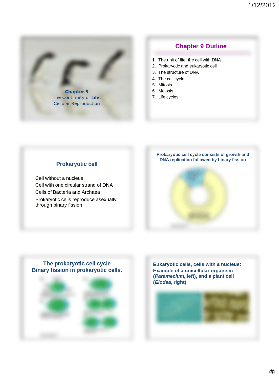 Chapter9_Cellular Reproduction.pdf_draftgf16fw_page1