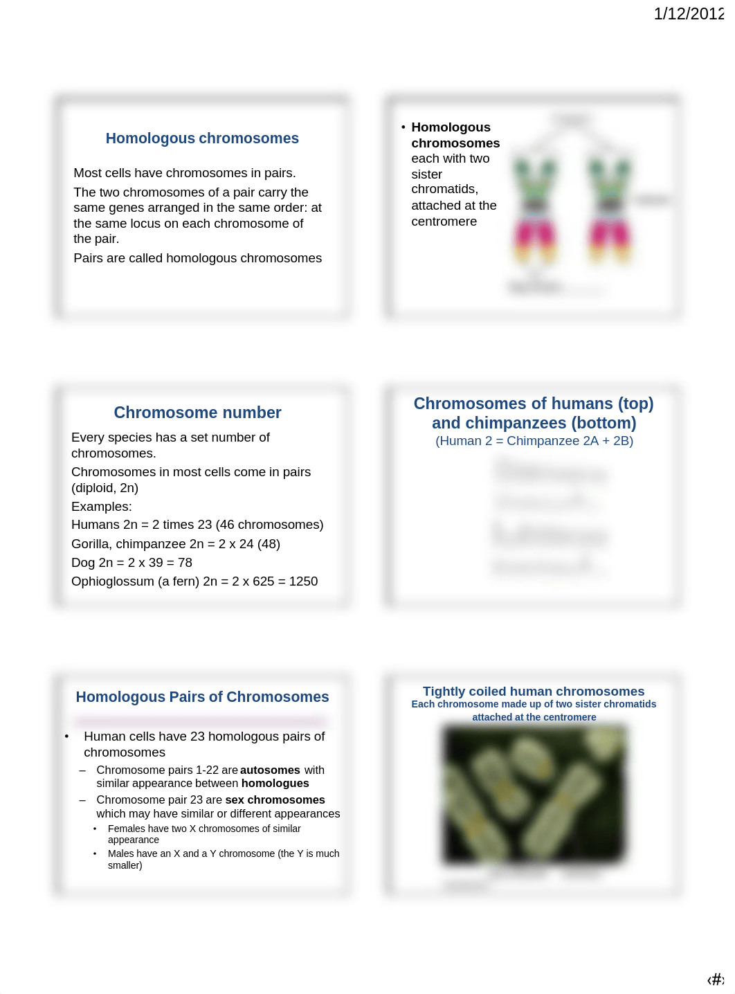 Chapter9_Cellular Reproduction.pdf_draftgf16fw_page3