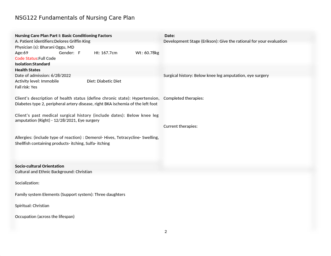 Full Care Plan .docx_dravw71ha6o_page2