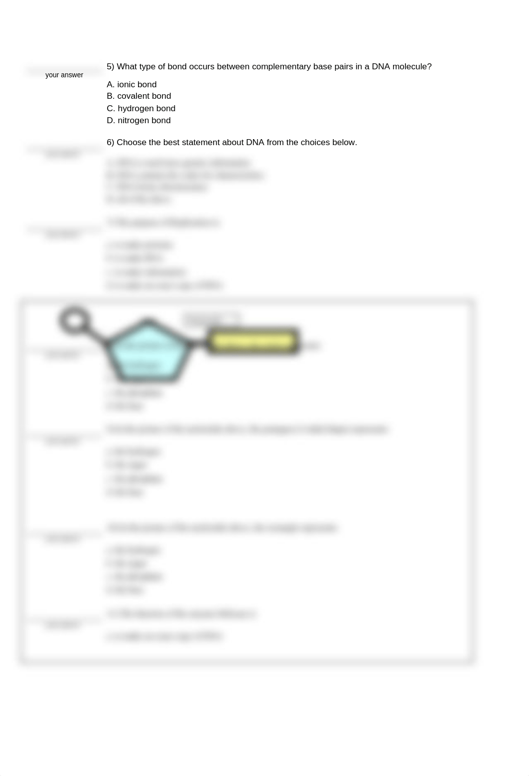 DNA_Structure-Replication_Quiz___Key_12-13.doc_drb0ewsm66g_page3