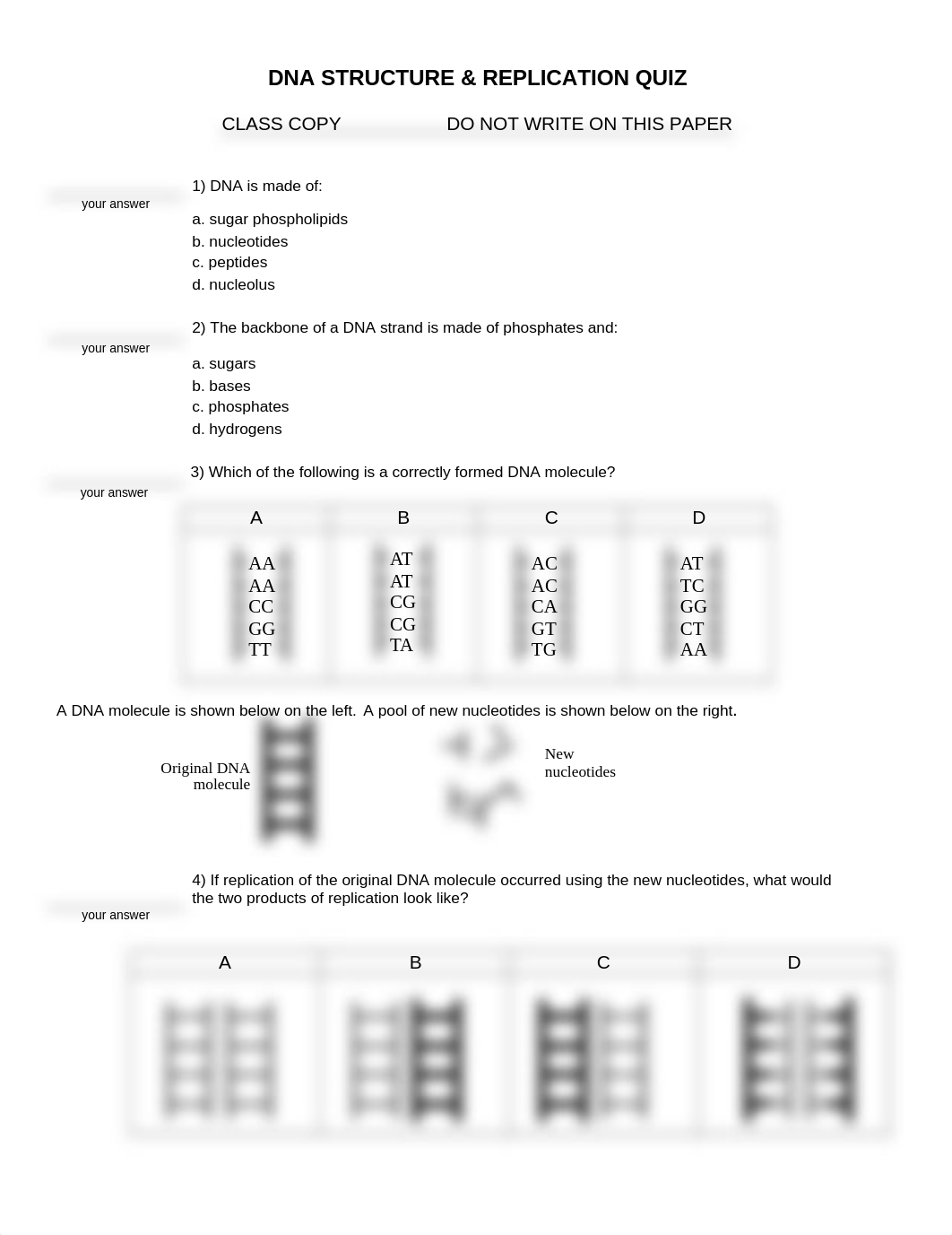 DNA_Structure-Replication_Quiz___Key_12-13.doc_drb0ewsm66g_page1