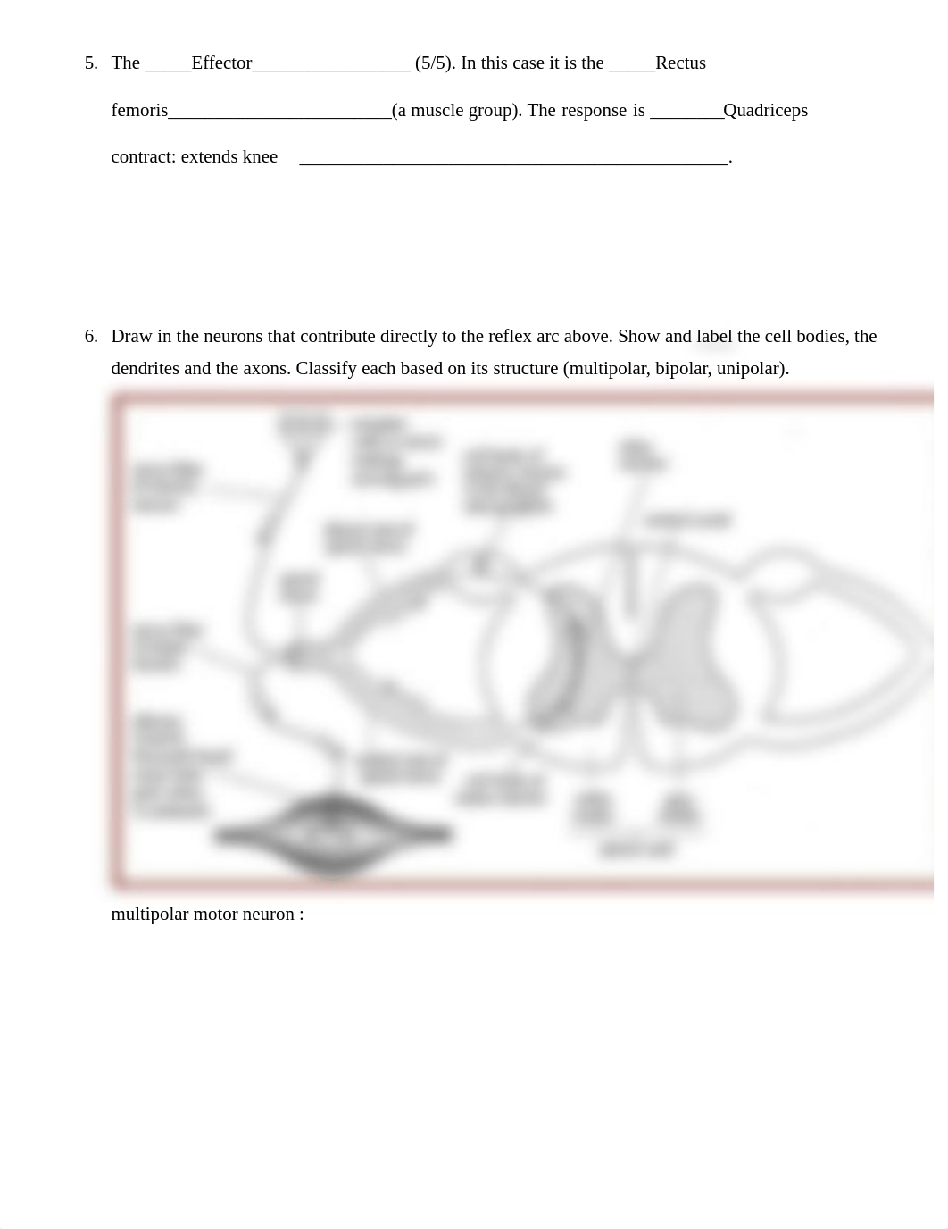 Lab 2.9 Skeletal Muscle Physiology Report.pdf_drb0qmvvosc_page2