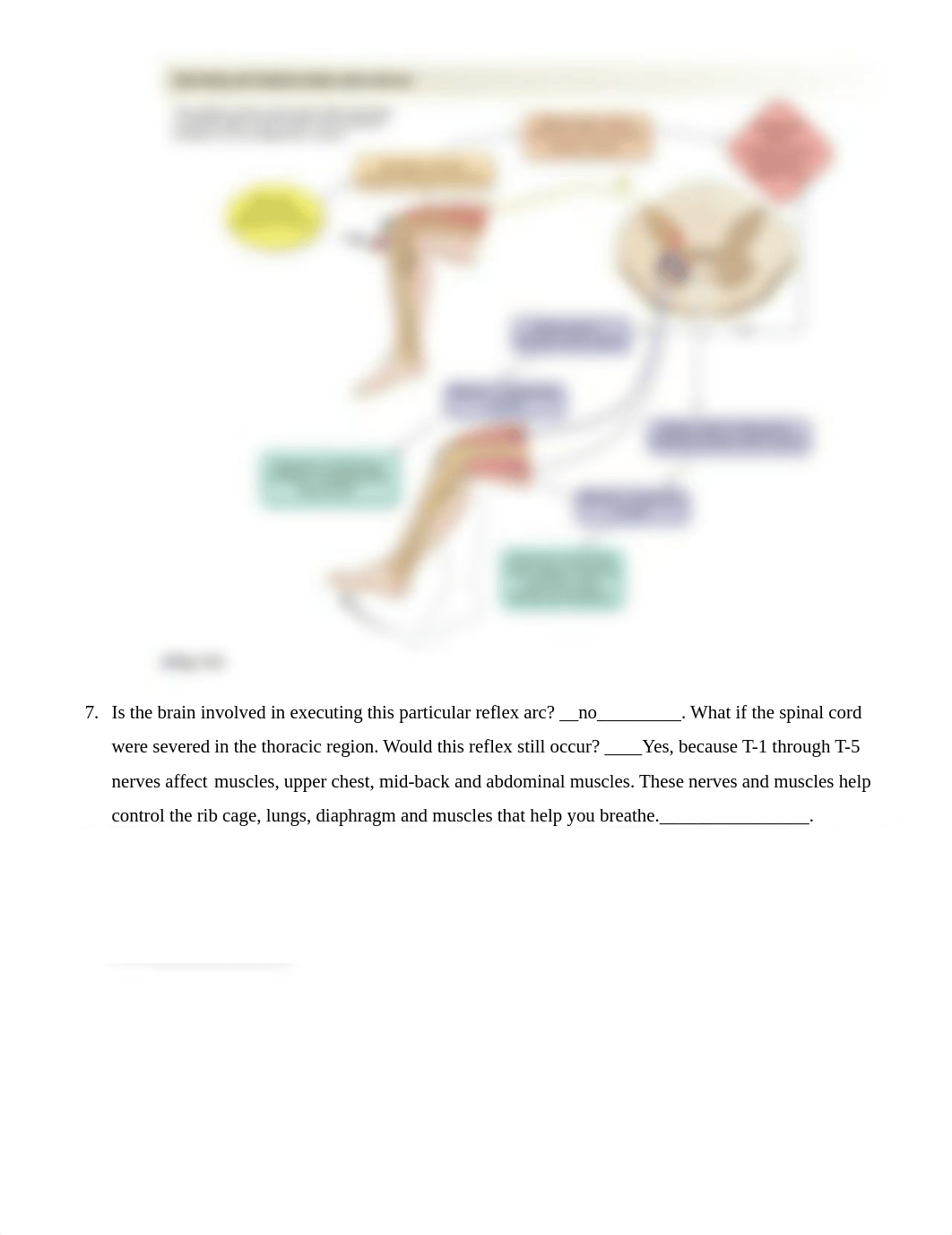 Lab 2.9 Skeletal Muscle Physiology Report.pdf_drb0qmvvosc_page5