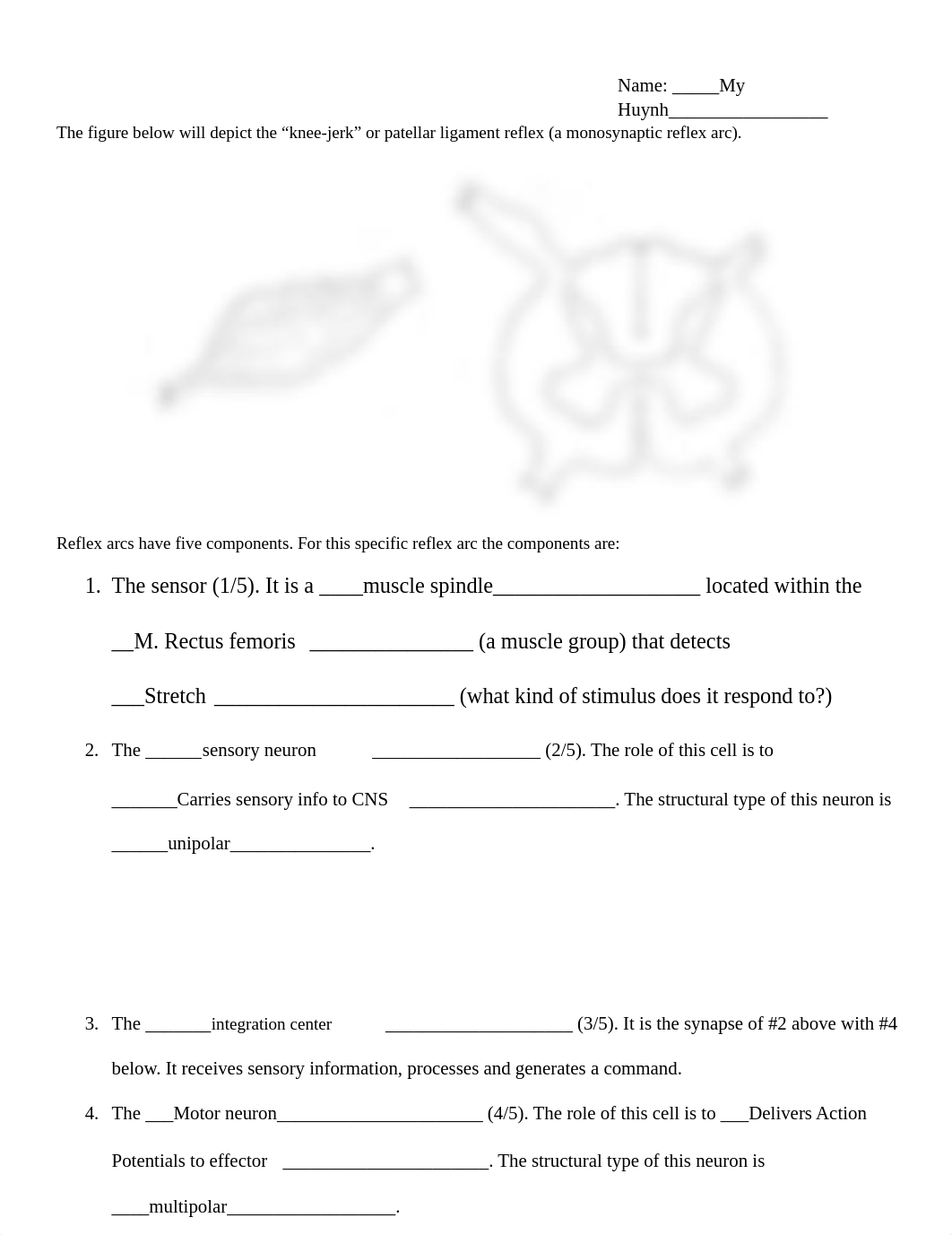 Lab 2.9 Skeletal Muscle Physiology Report.pdf_drb0qmvvosc_page1