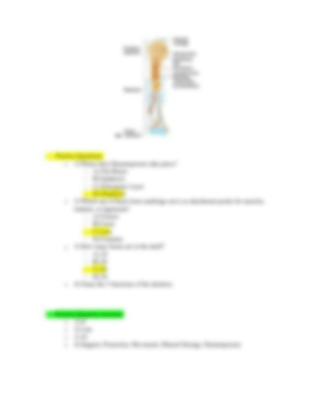 Osteology and Arthrology Exam 1 Review.docx_drb4gh81kyr_page4