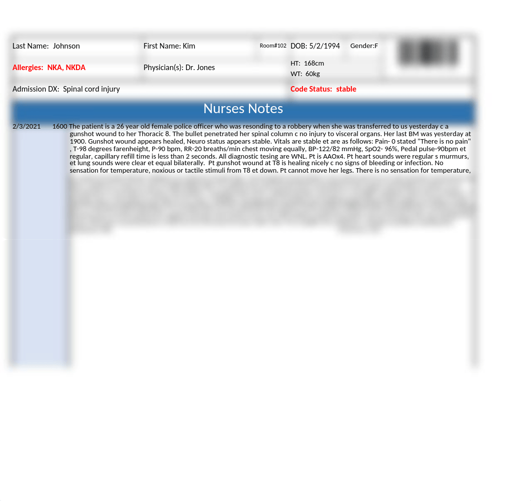 johnson nurse notes.xlsx_drbasiqfuhl_page1