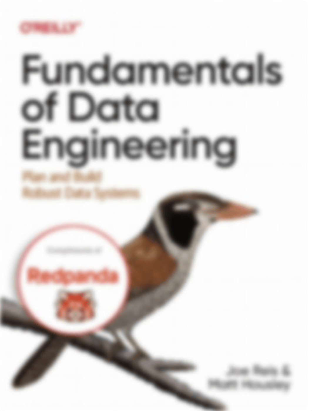 fundamentals-of-data-engineering.pdf_drbk2dw973y_page1