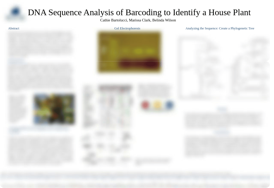 DNA Poster.pptx_drbkunb7zvs_page1