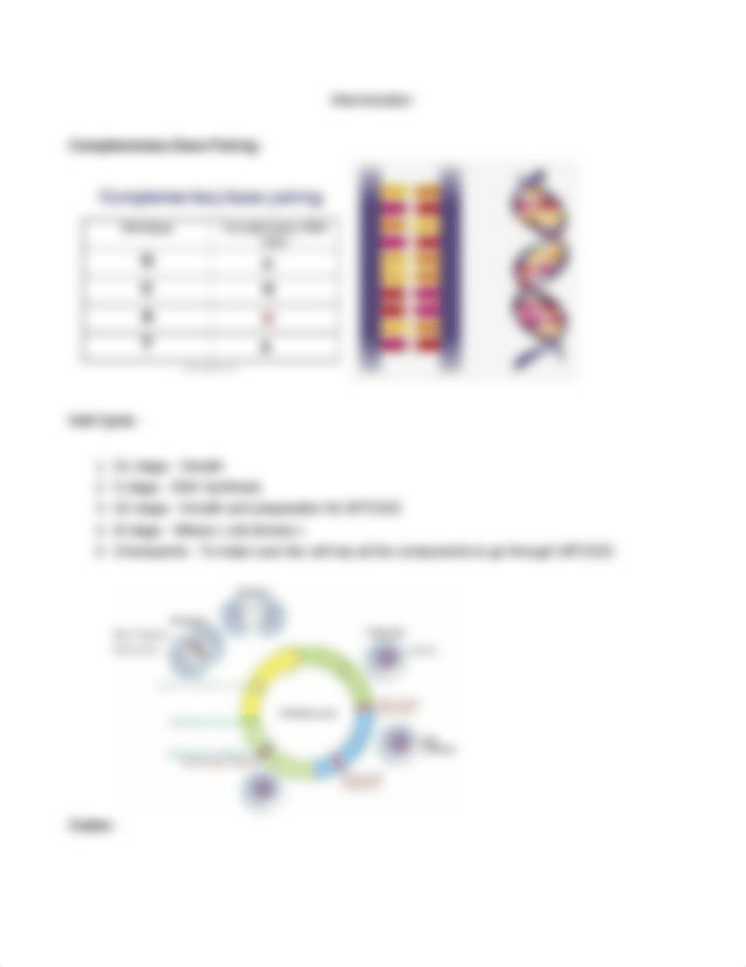 Notes for BI Final.odt_drbrrk9q6r0_page2