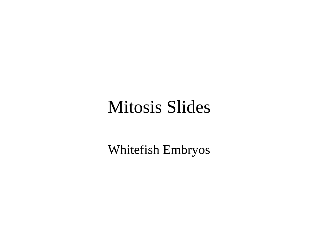 Mitosis Slides_drbsoi50nte_page1