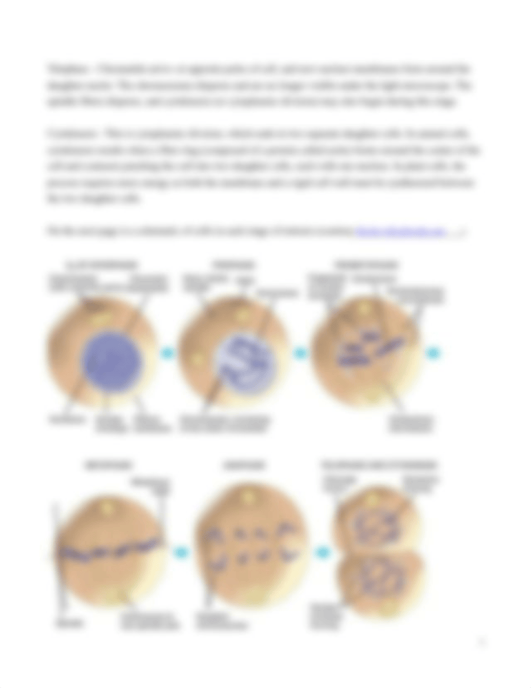 BIO Lab 3.docx_drby0qir47z_page3