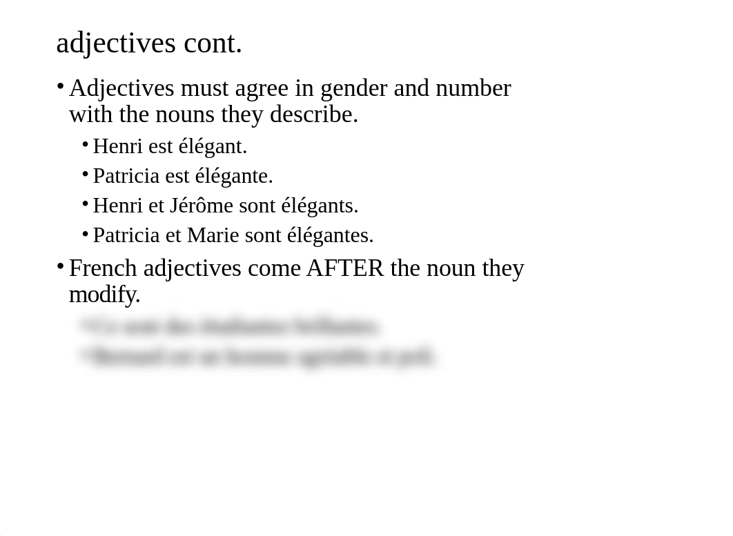 1B.2 N adjective agreement.pptx_drc5q3etmgn_page3