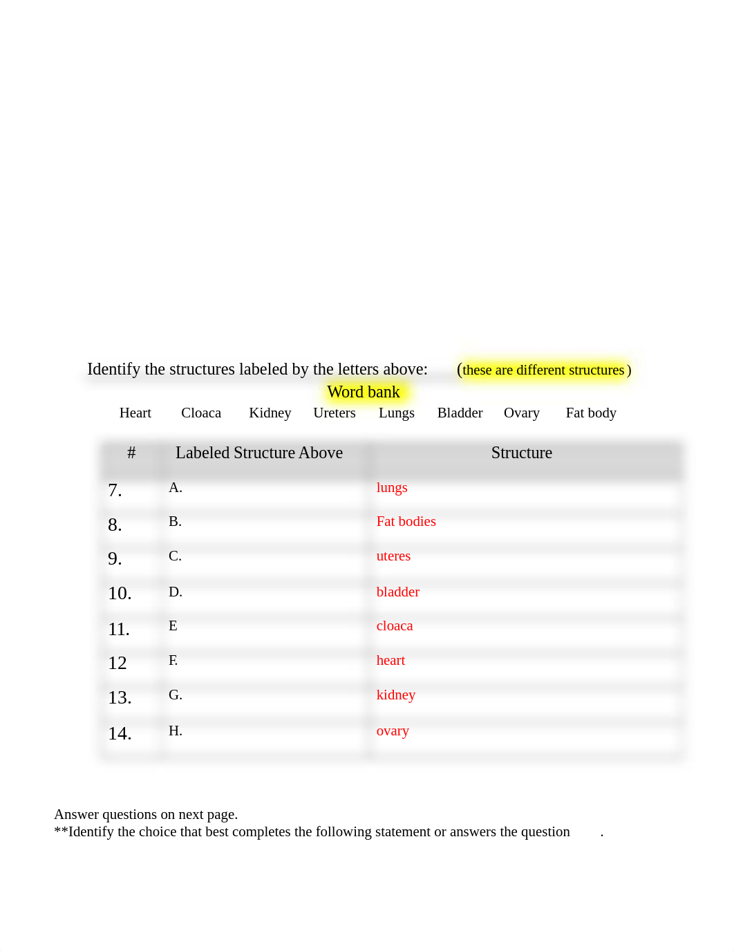 Frog Dissection Worksheet (1).doc_drc70ddoued_page2