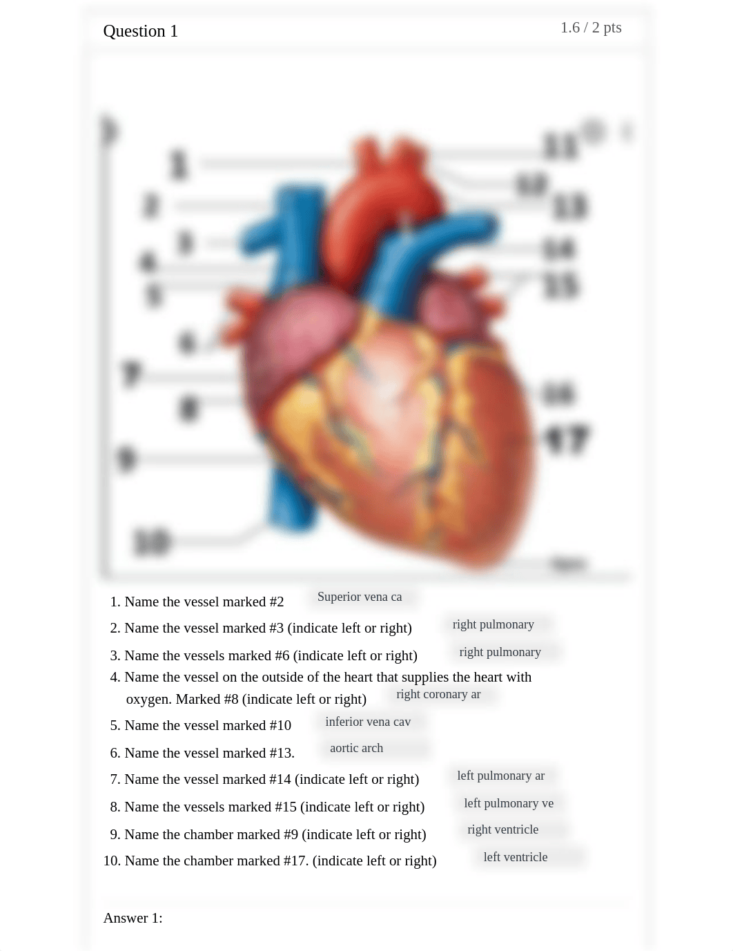 Practice activity 3.2_ EM 2022 SUMMR1-BIO202 14172.pdf_drc7zpe0r89_page1