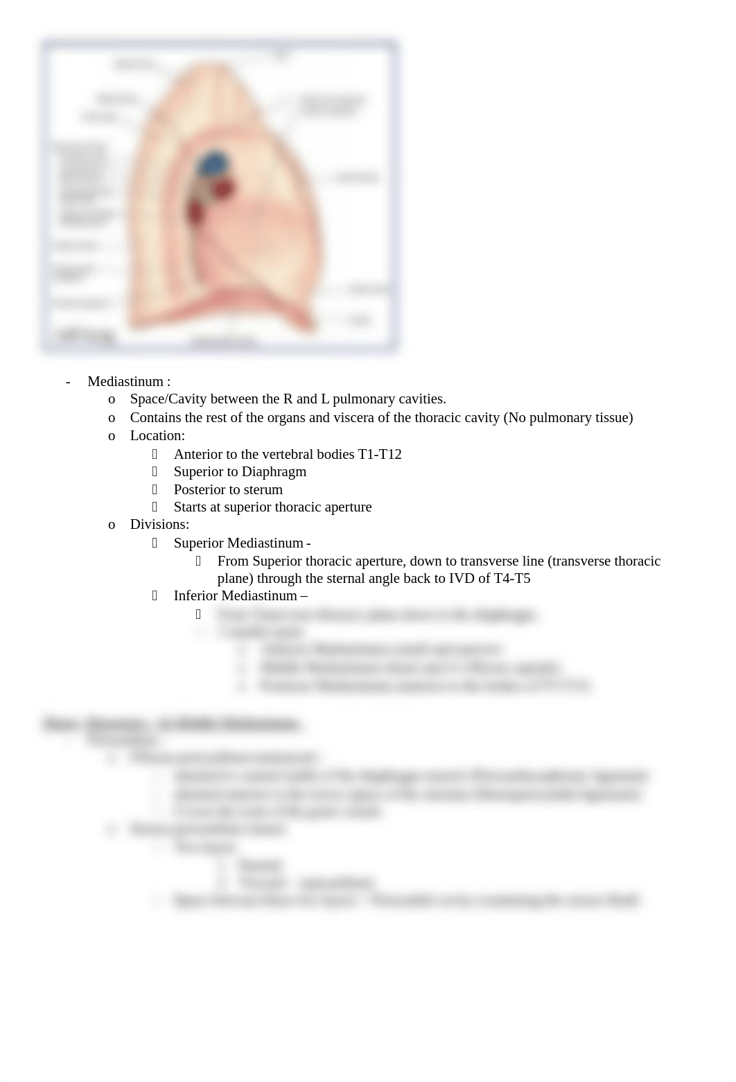 Thoracic Cavity guide.docx_drcbb3fl5va_page3