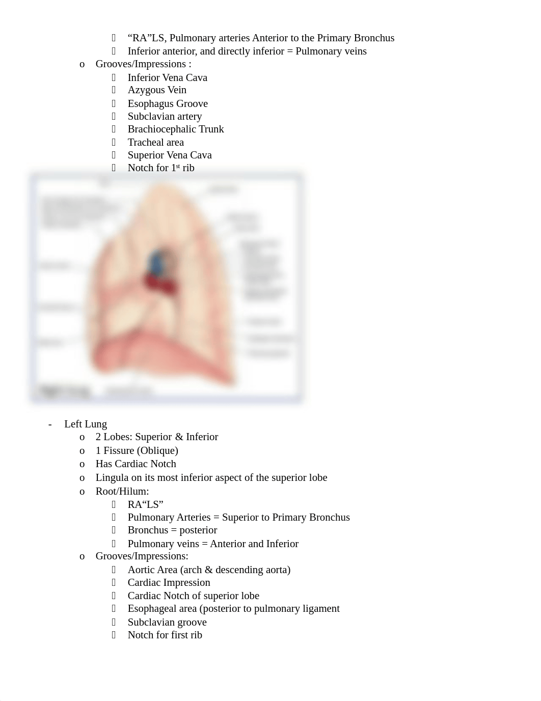 Thoracic Cavity guide.docx_drcbb3fl5va_page2