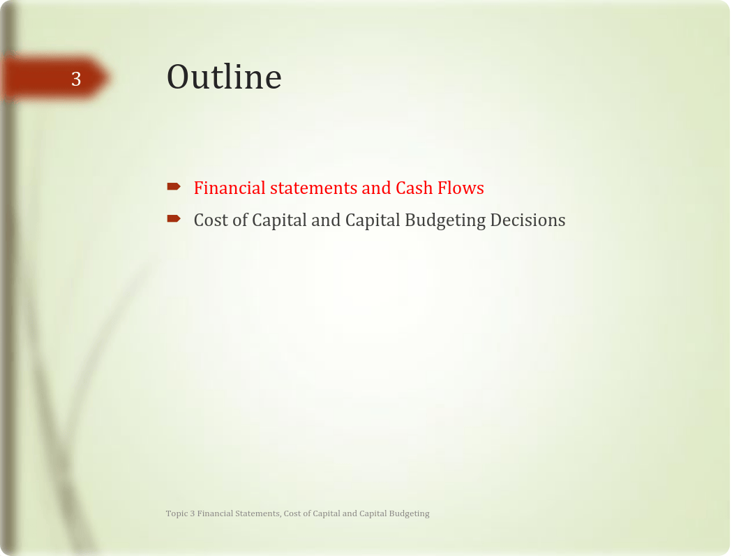 Topic 3 Financial Statements, Cost of Capital and Capital Budgeting.pdf_drcchrh2pzy_page3