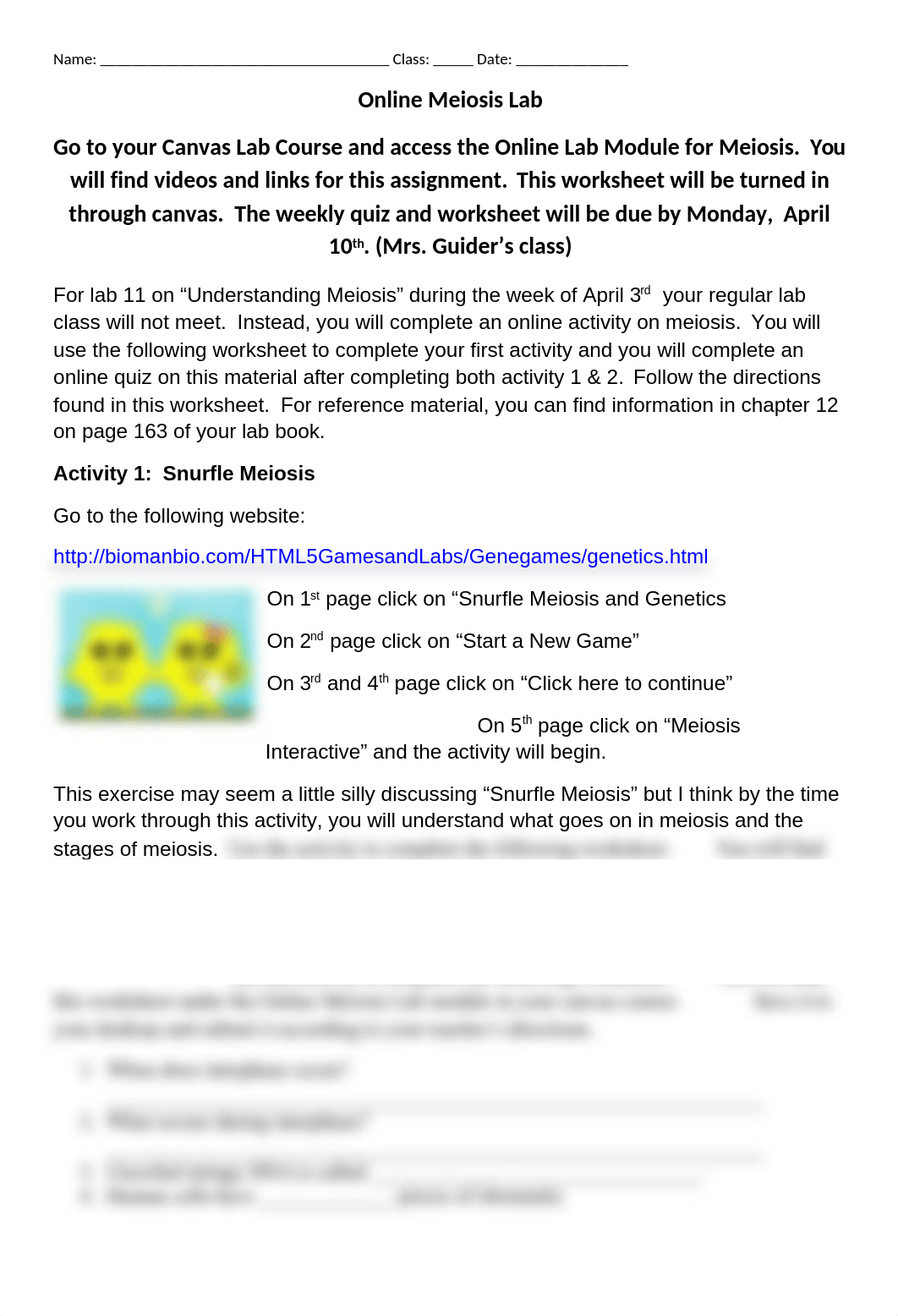 Meiosis Online Lab Worksheet-7.docx_drccpwhtnio_page1