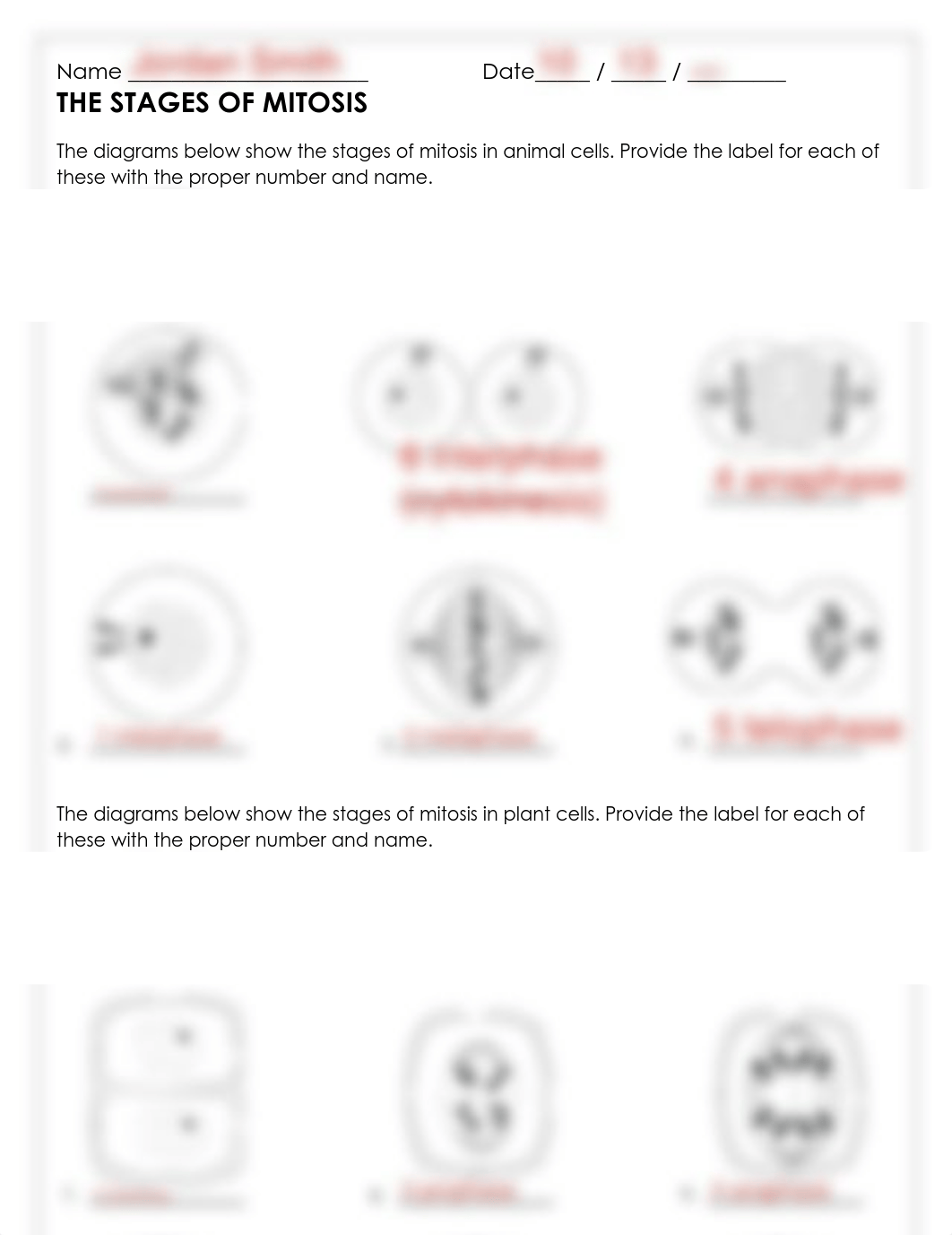 The stages of mitosis quiz-1.pdf_drcjk4holbg_page1