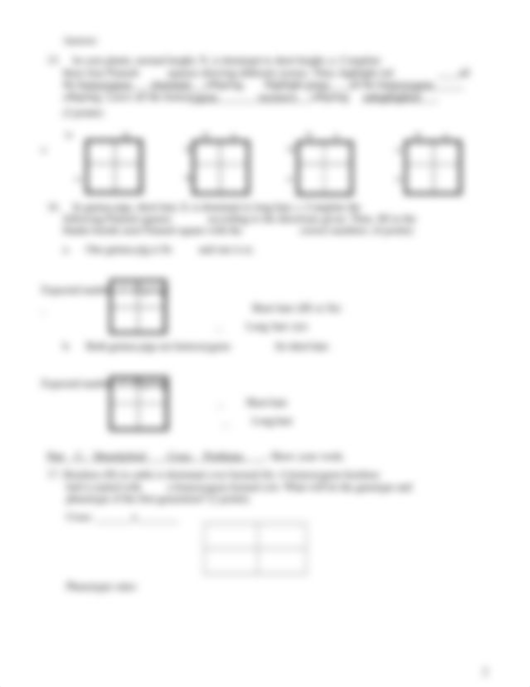 monohybrid_cross_worksheet.docx_drcoll6knj8_page2