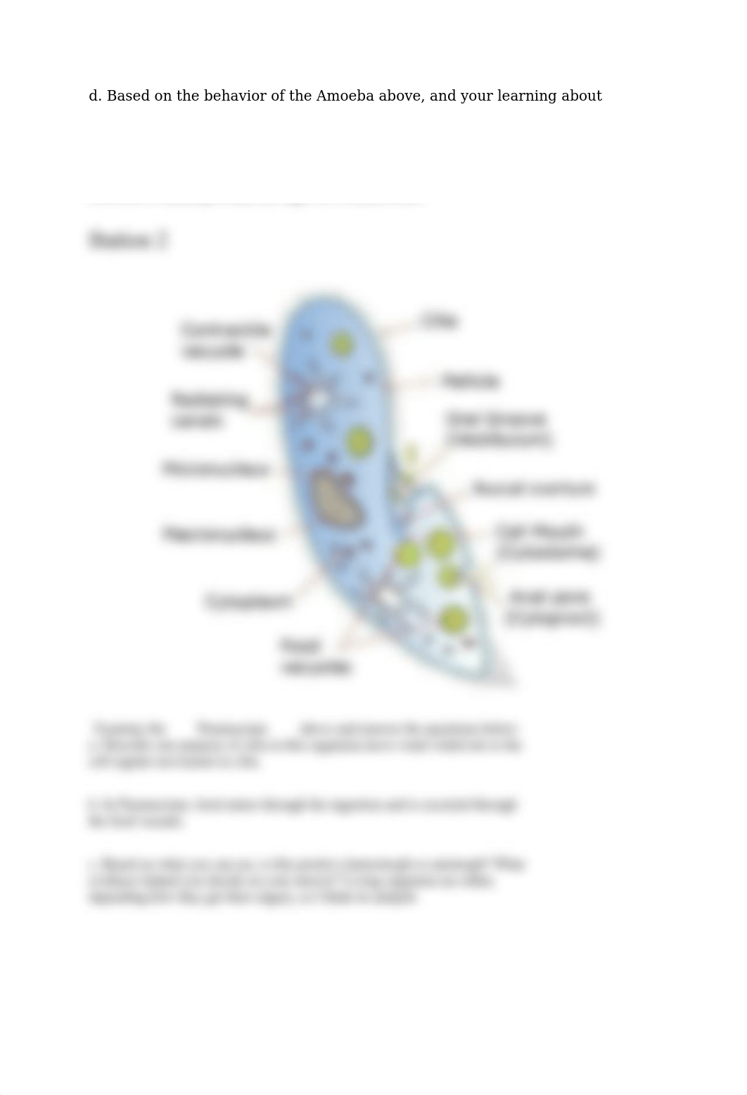 8.1 Exploring Protists Activity-DONE.docx_drcposeraji_page2