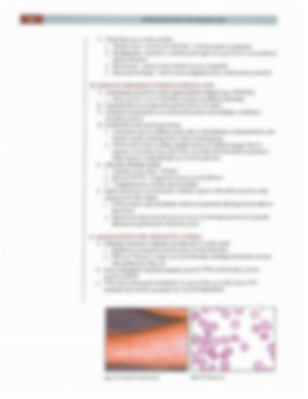 Fundamentals of Pathology Pathoma 2018 Full Book-37-70.pdf_drcqho6j1p0_page2