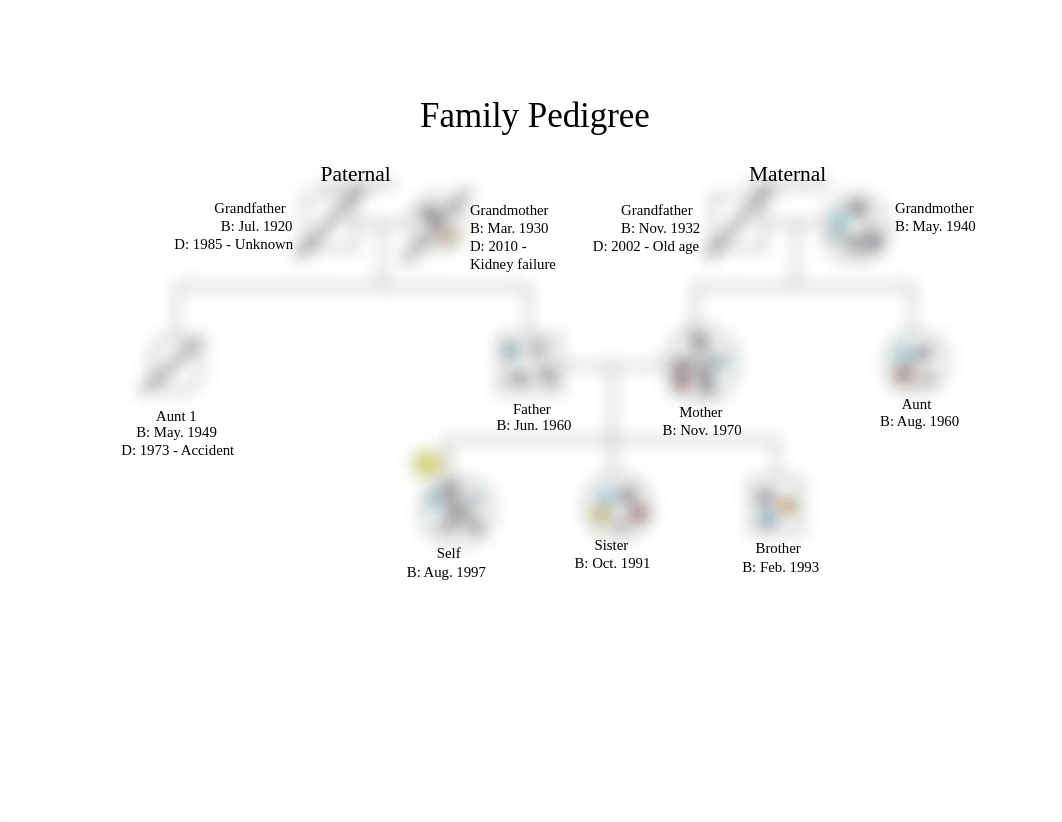 Cecilia Family Pedigree-1.pdf_drcrtomvlyg_page1