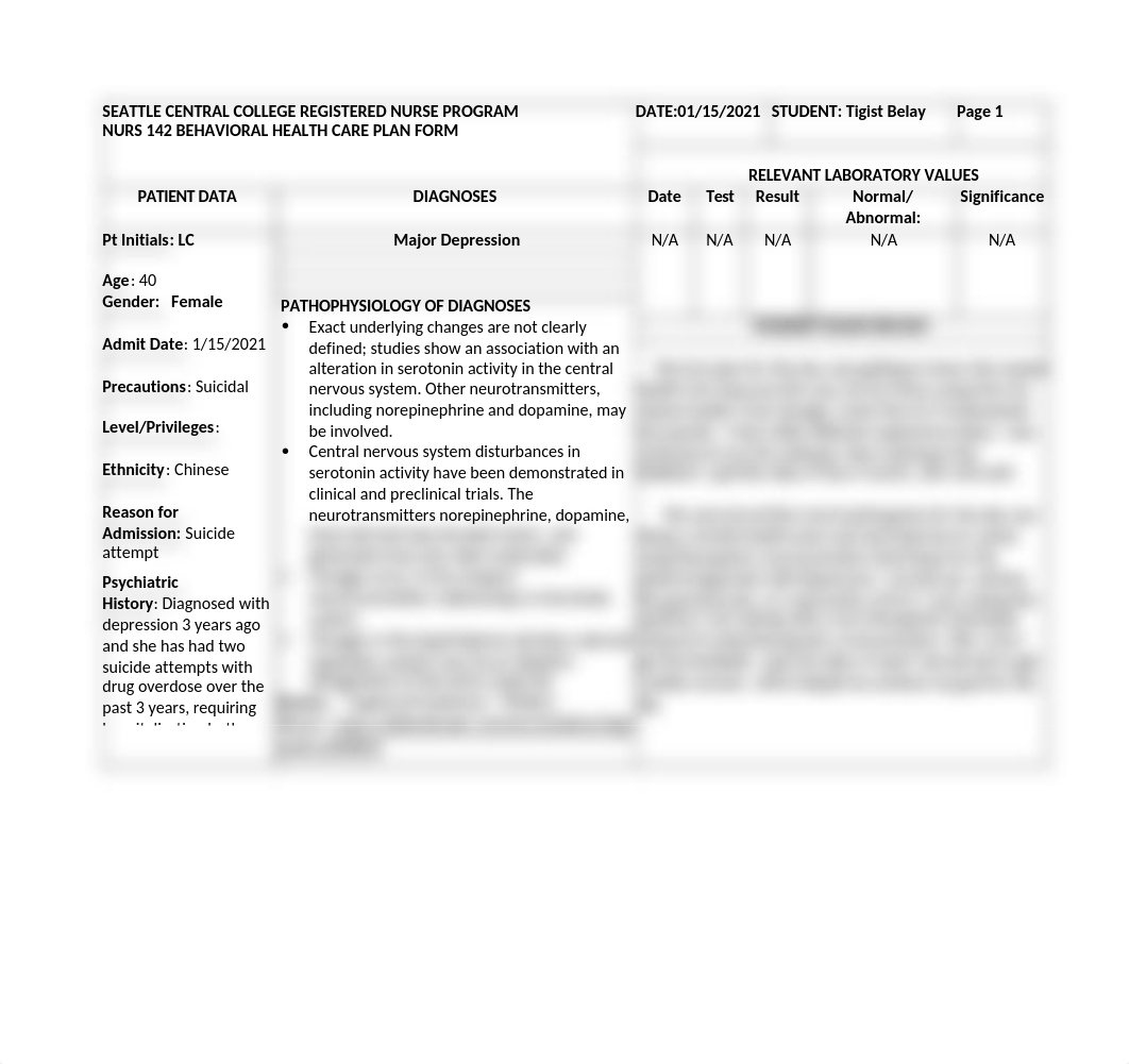 Li Na Chen:Major Depression -Part 1 CARE PLAN.docx_drcv9792h5l_page1