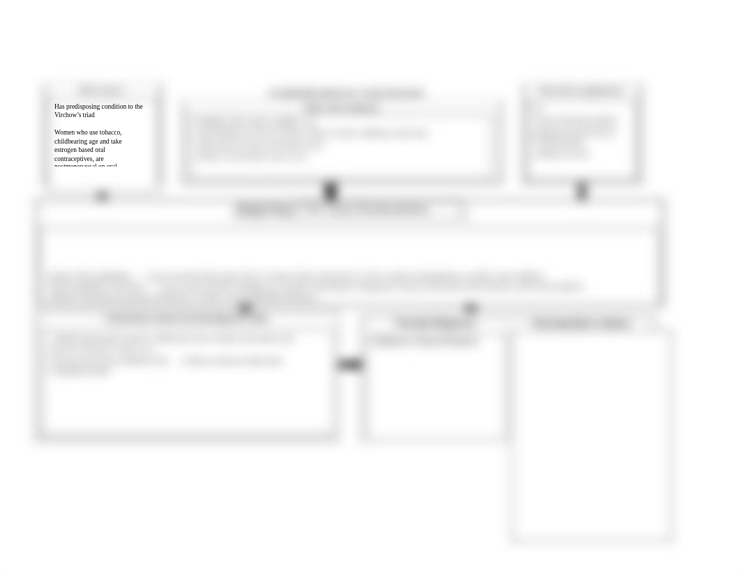 VTE Concept Map .docx_drcyc60qqqy_page1